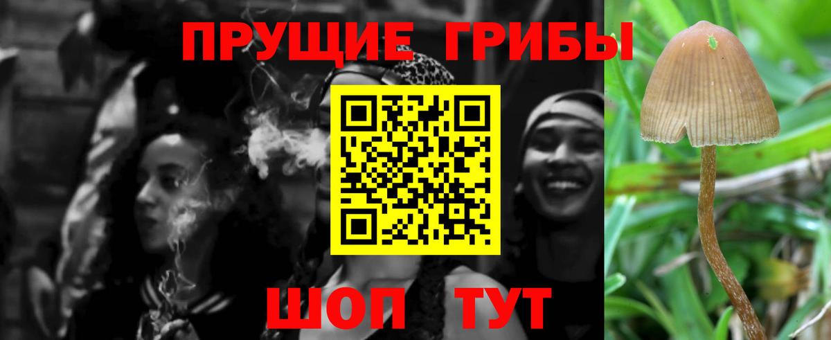 Галлюциногенные грибы Magic Shrooms Ржев
